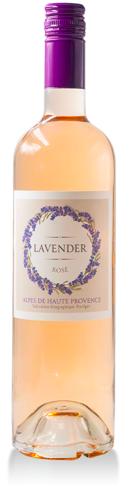 Lavender Alpes de Haute Provence Rose