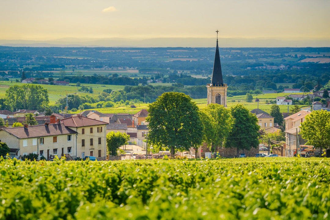 Beaujolais