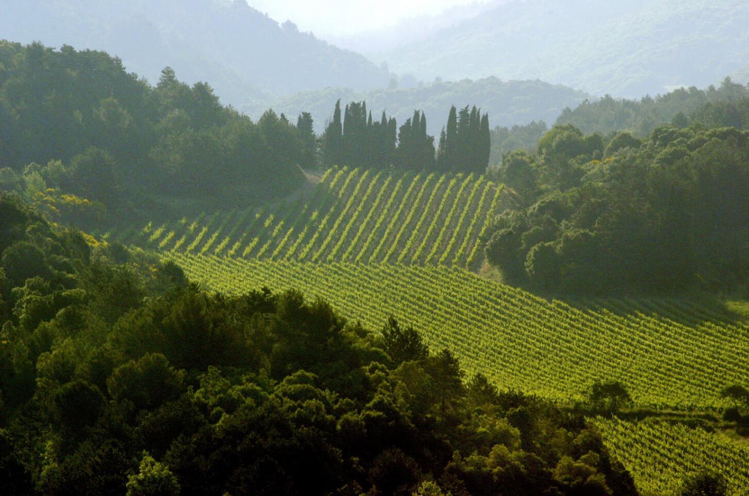 Languedoc-Roussillon