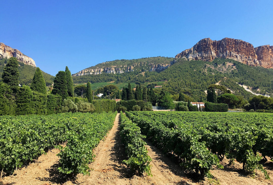Provence