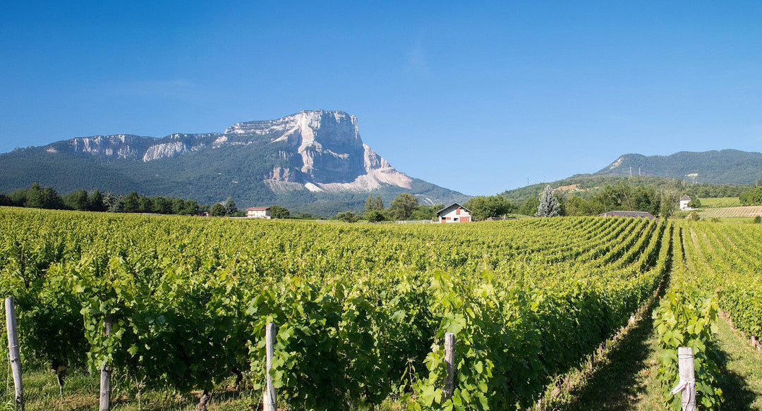 Savoie