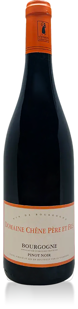 Bourgogne Pinot Noir Domaine Chene Pere et Fils 2024 750ml