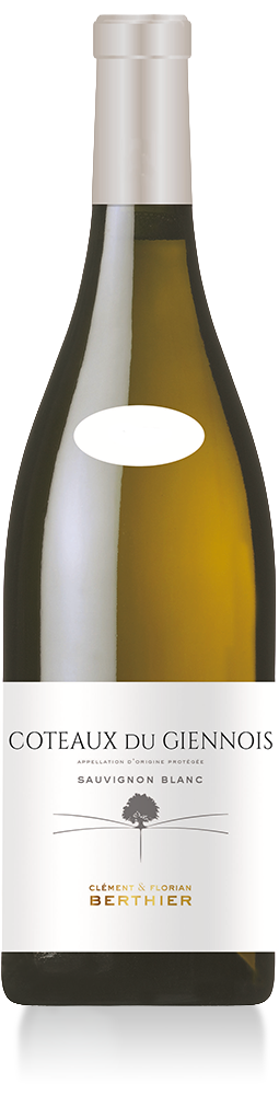 Coteaux du Giennois Terre De Caillotte Clement et Florian Berthier 2023 375ml