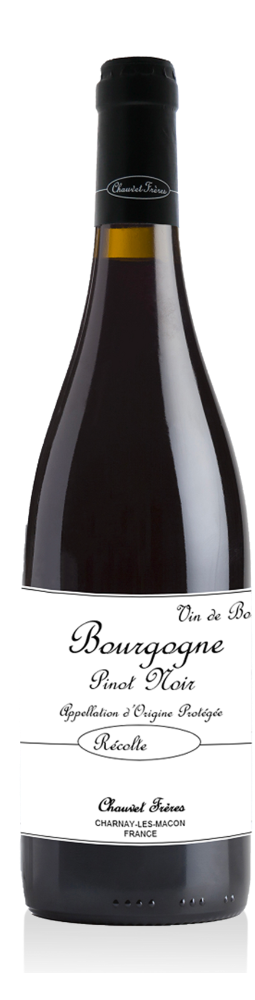 Coteaux Bourguignons Domaine Chauvet Freres 2022 750ml
