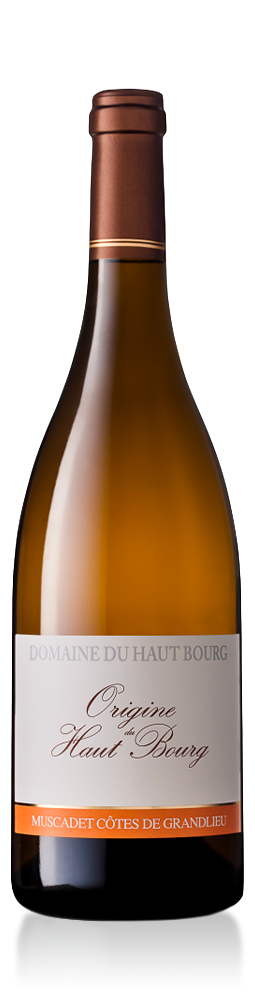 Muscadet Cotes de Grand Lieu Origine Domaine du Haut Bourg 2014 750ml