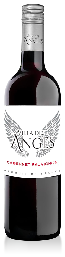 Villa des Anges By Jeff Carrel