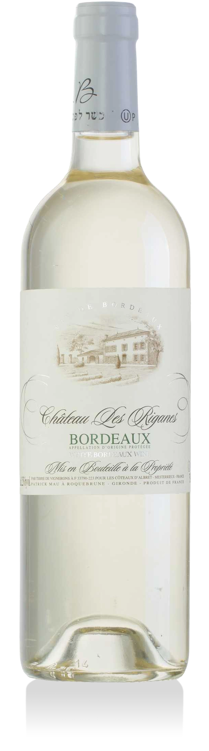 Bordeaux Blanc Kosher Chateau Les Riganes 2023 750ml