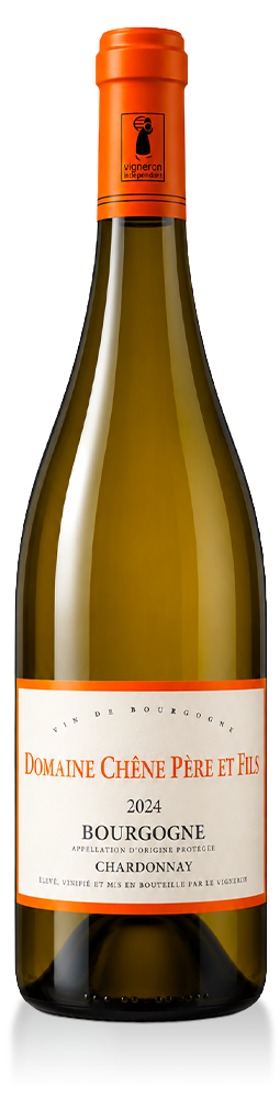 Bourgogne Chardonnay Domaine Chene Pere et Fils 2024 750ml